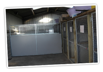 ladyview kennels